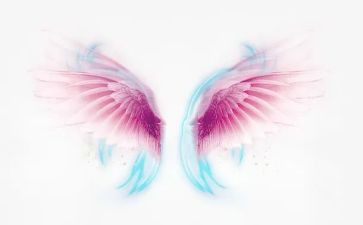 插上梦想的翅膀的作文6篇