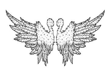 插上梦想的翅膀的作文模板8篇