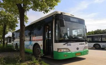 公交分公司经理述职报告6篇