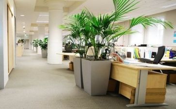销售公司年工作计划参考6篇