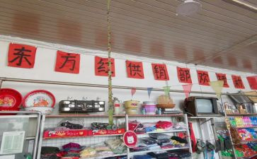 供销社作述职报告范文7篇