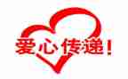 公益岗年度总结8篇