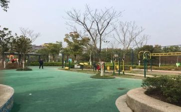 逛公园的心得体会7篇