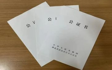 公证工作总结8篇