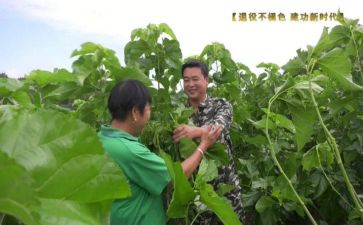 致富带头人主要事迹8篇