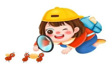关于观察虾的作文最新5篇