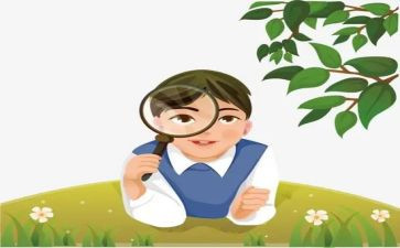 观察绿豆芽作文6篇