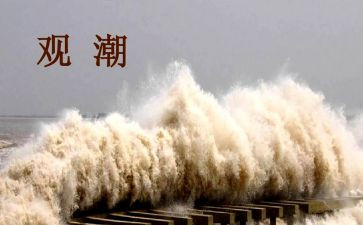 观潮读书心得体会优质7篇