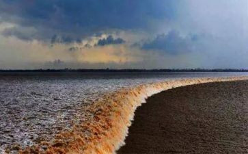 观潮的读后感一百字5篇