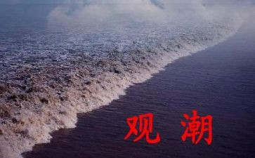 观潮的读后感100字优质6篇