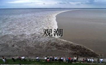 观潮四年级上册教案优质7篇