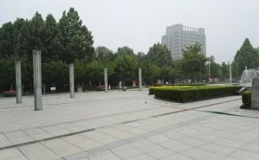 在广场的蟋蟀的读后感通用7篇
