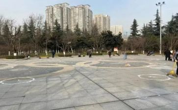 蟋蟀广场的蟋蟀读后感模板6篇