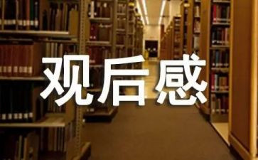2024年《榜样》5观后感推荐6篇