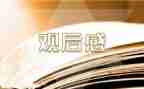 安全观后感6篇