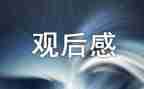 桥的观后感100字优秀6篇