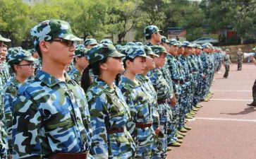 观训心得体会200字精选5篇