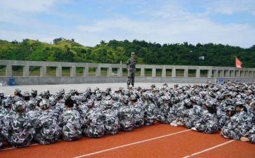 观训心得体会200字5篇