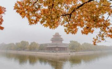 故宫导游词作文500字5篇