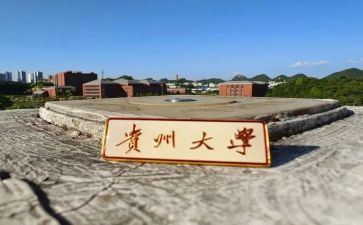 贵大消费调查报告优秀7篇