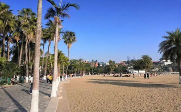 鼓浪岛作文最新7篇