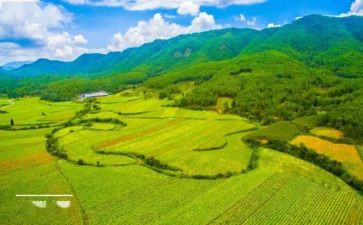 县国土局工作总结5篇