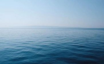 海归个人简历模板模板6篇