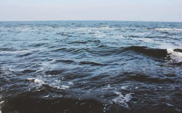 海鲜买卖合同7篇
