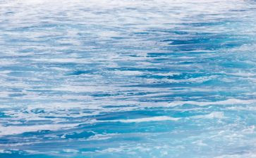 海燕,读后感模板7篇