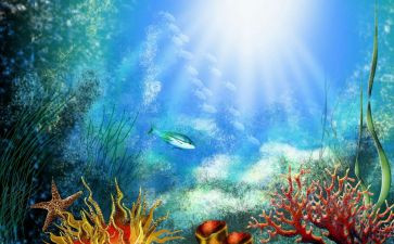 海底记作文精选5篇