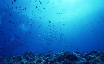 《海底两万里》的心得模板8篇