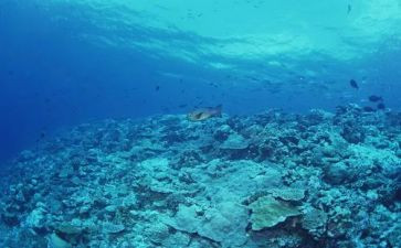《海底两万里》的心得通用8篇