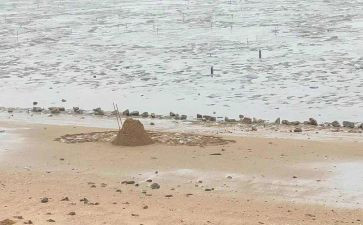 海砂工作总结范文优质7篇
