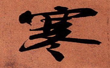学生寒假读书活动方案6篇