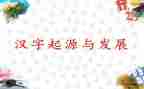 关与汉字的调查报告5篇