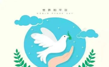 为了个和平心得体会优质6篇