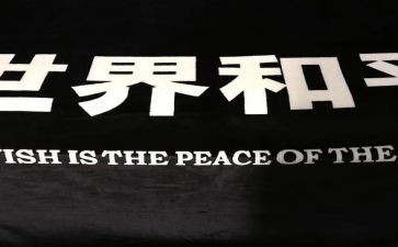 为啦和平的心得体会推荐8篇