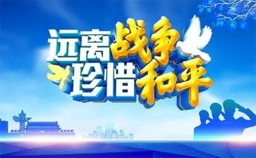 为了个和平心得体会6篇