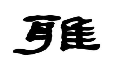 争做和雅少年演讲稿8篇