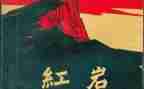 红岩中读后感100字8篇