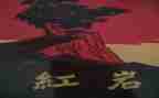 红岩的读后感作文5篇