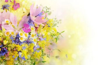 花开季节作文模板7篇