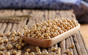 炒黄豆教案8篇
