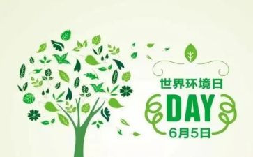 六五世界环境日活动总结6篇