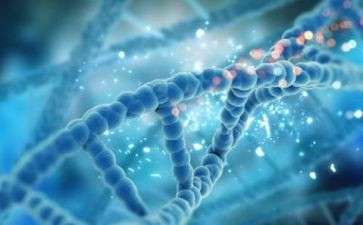理化生组教研组工作计划最新8篇