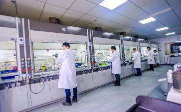 化验煤工作总结7篇
