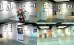 幼儿园迎元旦画展活动方案7篇