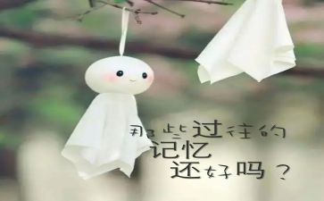 难忘的回忆作文800字5篇