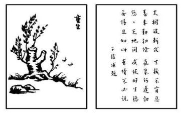 保护生态环境的作文5篇
