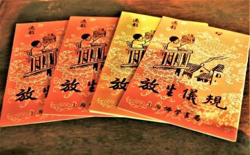 护生的自我鉴定8篇
